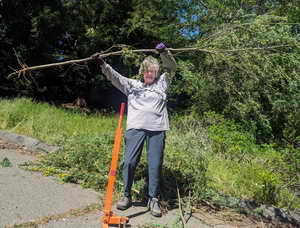 Weed Warrior Anne Ogonowski and tree-sized broom in Tilden Regional Park