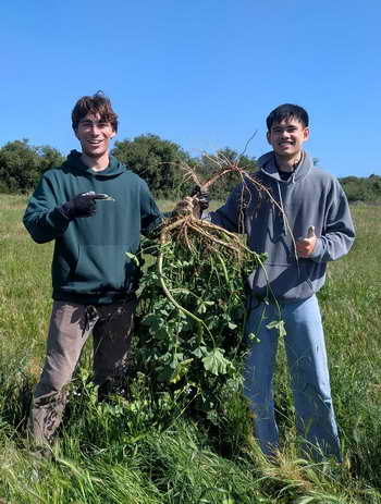Berkeley Project volunteers with big cheeseweek