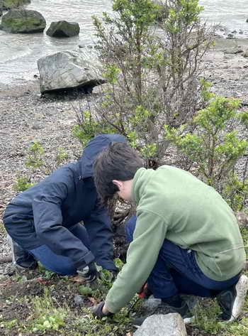 Black Pine Circle Day School 7th graders helped at Shorebird Park on their Day of Service.